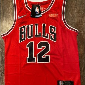 Ayo Dosunmo Chicago Bulls Red Jersey size adult (M) brand new with tags!